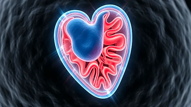 Study Reveals Metabolic Signatures in Ischemic Heart Disease Patients Indicating Mitochondrial Alterations