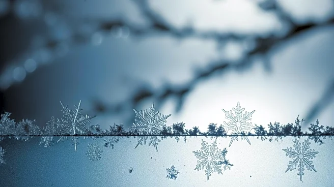 Major Winter Storm Forecasted to Impact Large Parts of U.S. with Snow and Ice