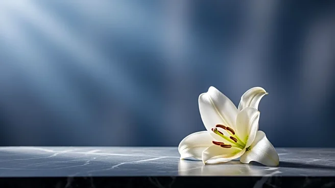 Betty Hernandez Passes Away at 87 After Battle with Cancer