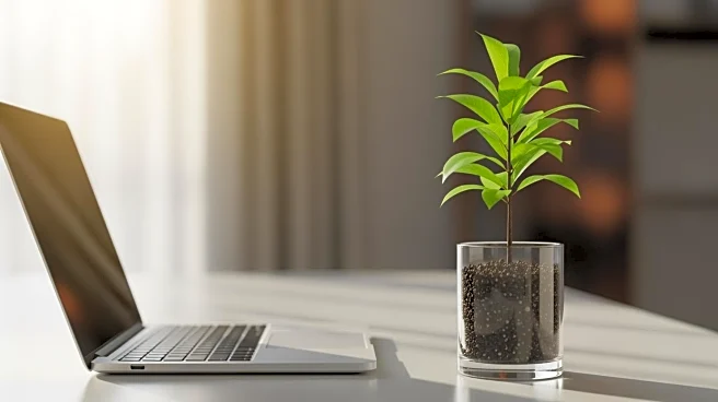 India's Young Entrepreneurs: 80% Are Self-Made, Reflecting Shift in Business Landscape