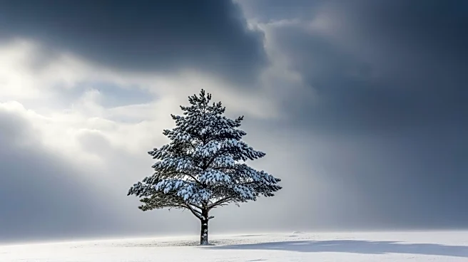 Northeast Braces for Major Winter Storm as Snow Forecast Intensifies
