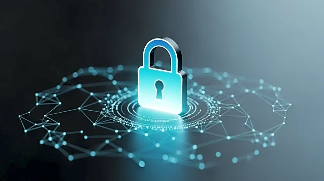 Launch of Global Cybersecurity Vulnerability Enumeration Initiative Welcomed by Experts