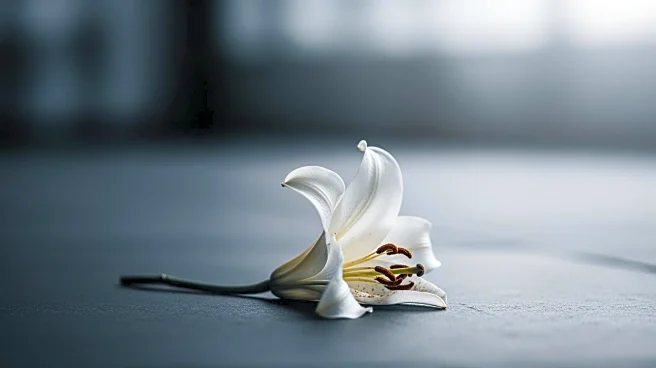 20-Year-Old Man Dies of Flesh-Eating Disease After Misdiagnosis