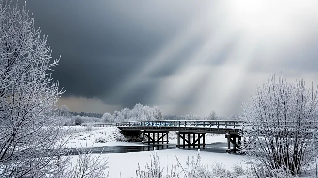 President Trump to Meet with Zelensky Amid Ukraine's Harsh Winter and Russian Attacks