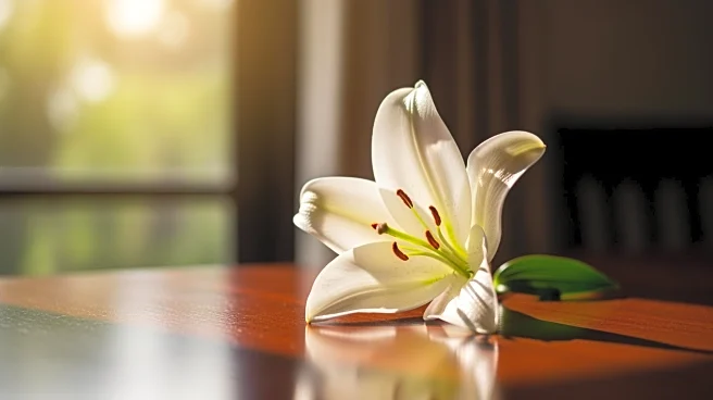 Margaret Mary (Adams) Guest's Legacy Celebrated in Obituary