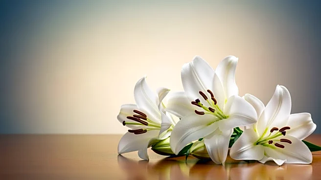 Lois C. Brooks (Reynolds) Passes Away at 97, Funeral Arrangements Announced