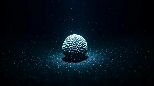 Deep Sea Expedition to Test 'Dark Oxygen' Production from Ocean Nodules