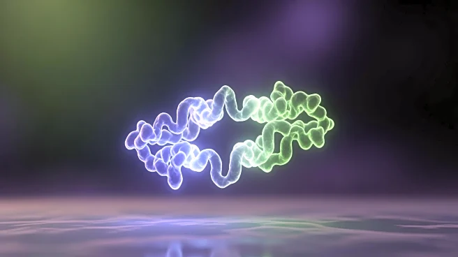 NUS Researchers Discover Protein to Restore Aging Neural Stem Cells