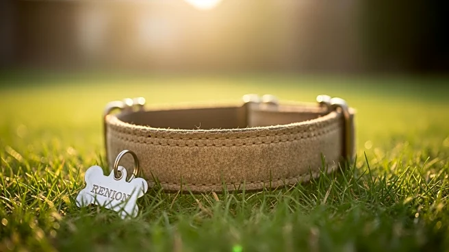 Humane Society Reunites Missing Dog with South Florida Owner After Two Years