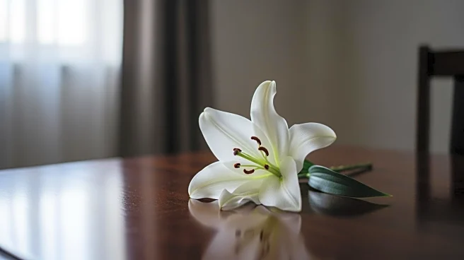 L.A. Mayoral Candidate Austin Beutner's Daughter Dies at 22