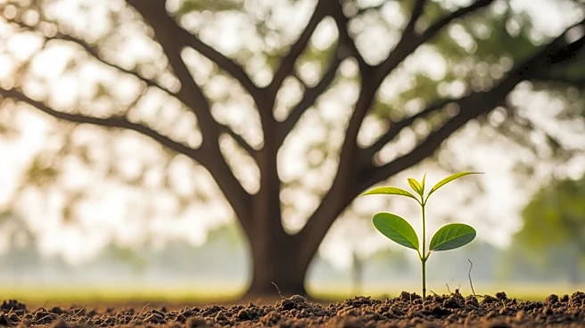 Institute of Chartered Foresters Launches Mentoring Program to Support Early-Career Professionals