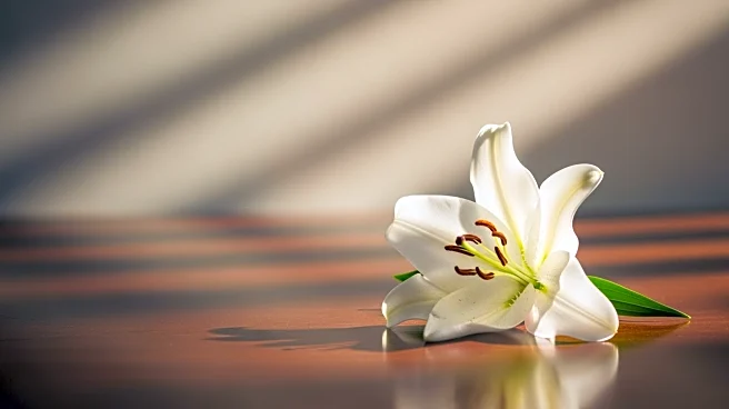 Lucille N. Nabriat's Passing and Upcoming Funeral Services