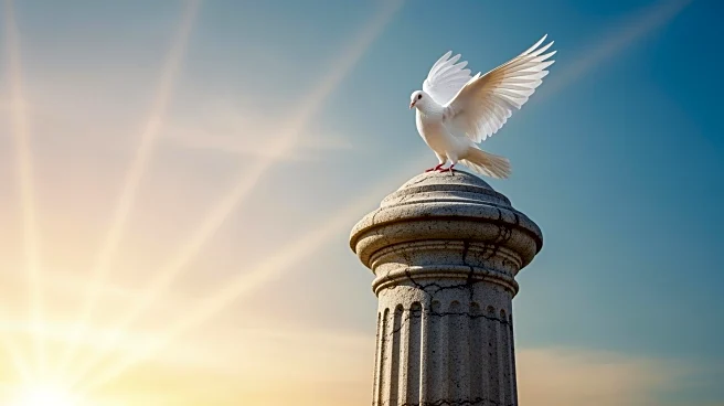 Uganda's Bobi Wine Rejects Court Challenge, Urges Peaceful Protests Against Election Results