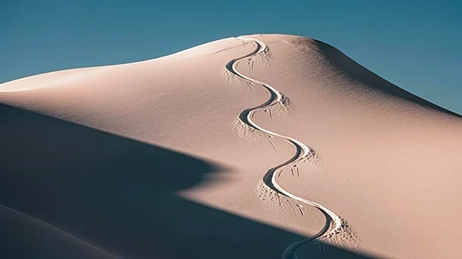 Air Canada Launches Sapporo Route to Tap Japan's Winter Ski Market