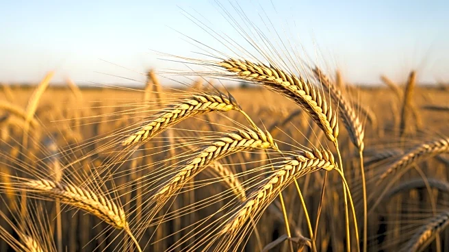 Alberta Farmer Participates in World Economic Forum to Discuss Resilient Food Systems