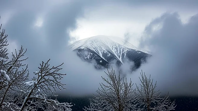 Heavy Snow and Rainfall in Afghanistan Result in 61 Deaths and 110 Injuries