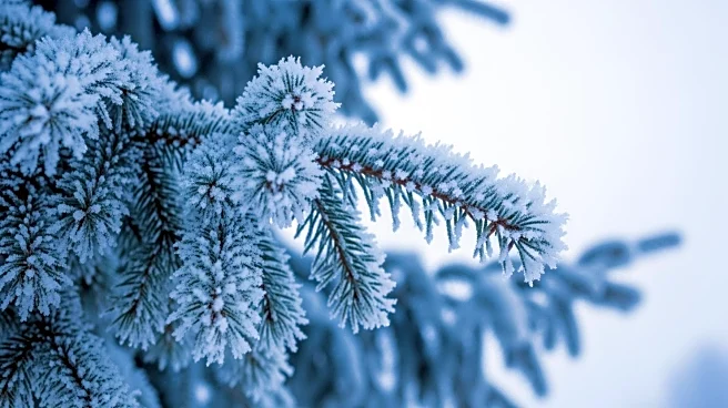 Bitter Cold and Heavy Snow Forecast for Boston Area