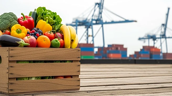 South African Agriculture Faces Export Challenges Amid Port Inefficiencies