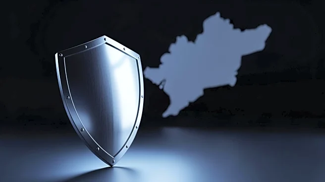 Pentagon's New Strategy Prioritizes Homeland Defense Over Global Military Presence