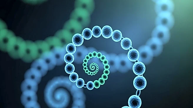 Researchers Identify Gut Stem Cell Changes Increasing Cancer Risk with Age