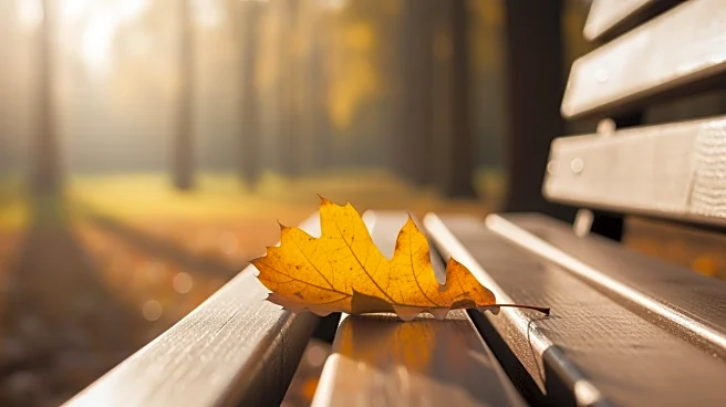 Naomi Wyant of Gibson City Passes Away at 89