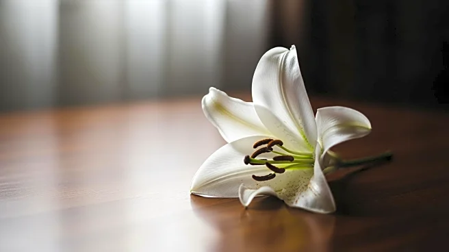 Mother Shares Heartbreaking Experience of Daughter's Chronic Illness Diagnosis