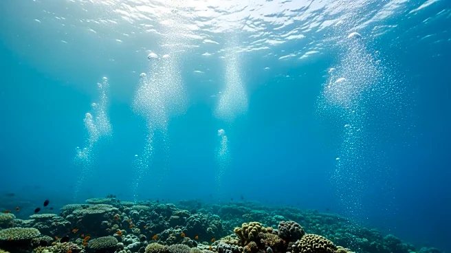 UN Treaty Aims to Protect Biodiversity on the High Seas