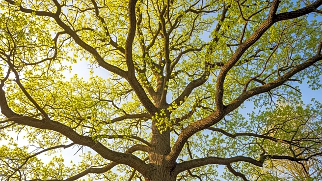 King Charles III Advocates for Gen Z to Prioritize Climate Action Through New Documentary