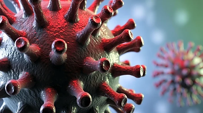 Nipah Virus Outbreak in India Prompts International Health Precautions