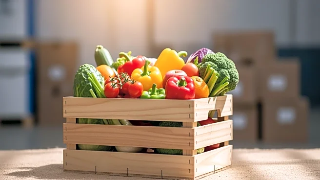 Leket Israel's 2025: A Year of Crisis Response and Humanitarian Aid