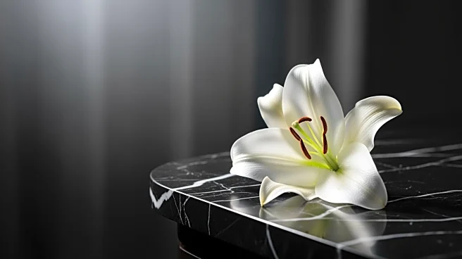 TikTok Star Mackenzie Paul Passes Away After Cancer Battle