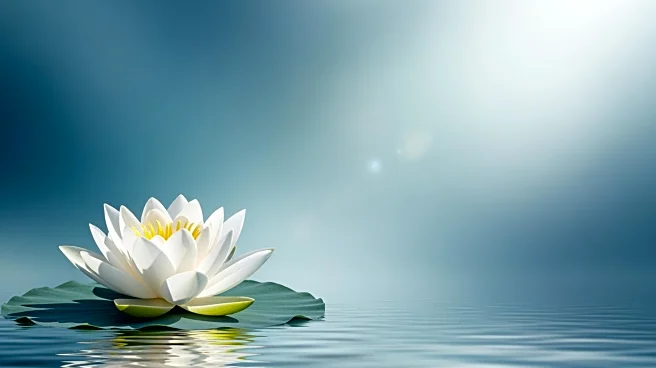 Former South Korean Prime Minister Lee Hae-chan Dies During Vietnam Visit