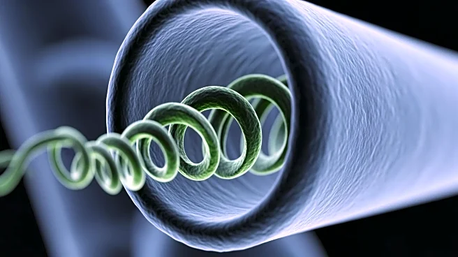 Researchers Discover Bacteria Use Flagellar Wrapping to Navigate Microscopic Passages