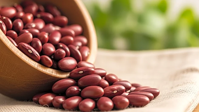 Hearty Earth Initiative Introduces Kidney Beans to Combat Food Insecurity in Oxford