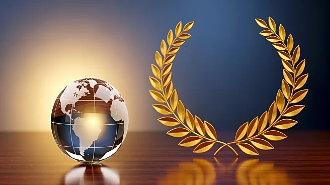 Bosnia and Herzegovina's Embassy and Ambassador Berjan Honored with Global Fred Awards