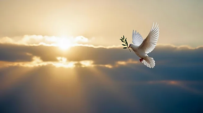 Pope Leo XIV Calls for Intensified Peace Efforts Amid Ukraine Conflict