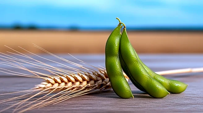 Romanian President and Agriculture Minister Clash Over EU-Mercosur Agreement's Impact on Agriculture