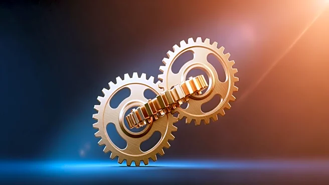 Nigeria Seeks Strategic Partnership with Türkiye for Economic Growth