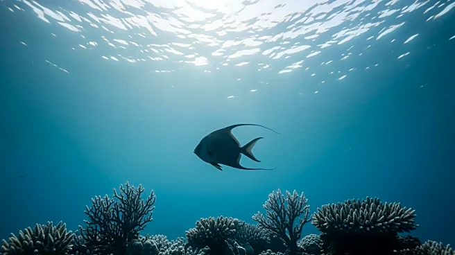 Climate Change Threatens Korean Aquaculture with Rising Economic Costs