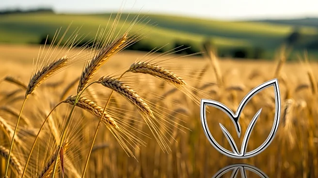 EU Streamlines Agricultural Policy, Promising €215 Million Savings