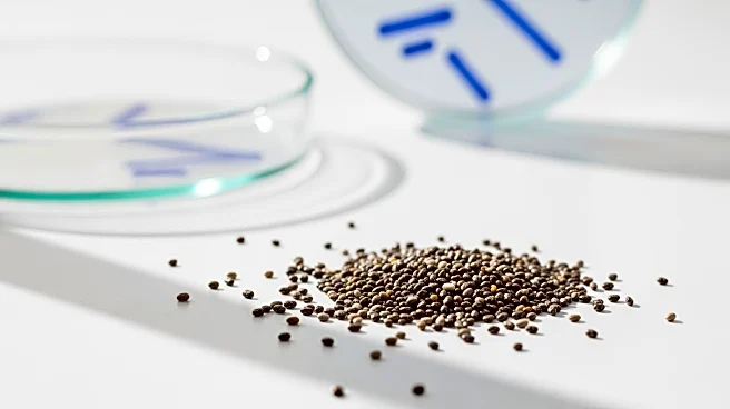 Navitas Organics Recalls Chia Seeds Over Salmonella Concerns Affecting Whole Foods and Amazon Customers