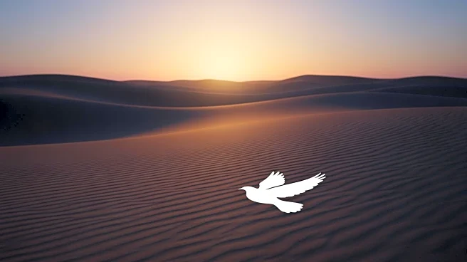 Ceasefire in Israel-Gaza Conflict Marks Return of Final Hostage's Remains