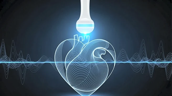 AISAP's AI Technology Revolutionizes Cardiac Screening with Single Ultrasound View