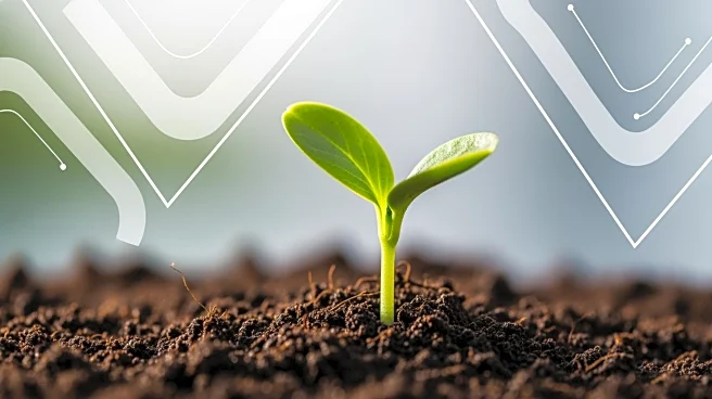 MENA Region Emerges as a Global Innovation Powerhouse in Agrifoodtech