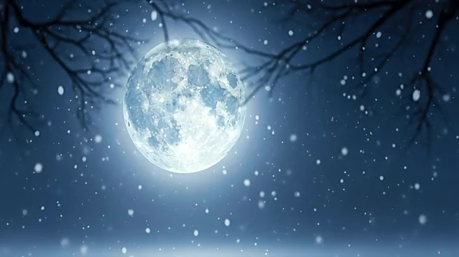 Chicago to Witness February Snow Moon and Upcoming Lunar Eclipse