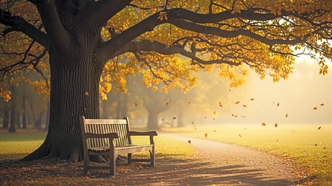 Barbara McCarty, Longtime Yorkville Resident, Passes Away at 82