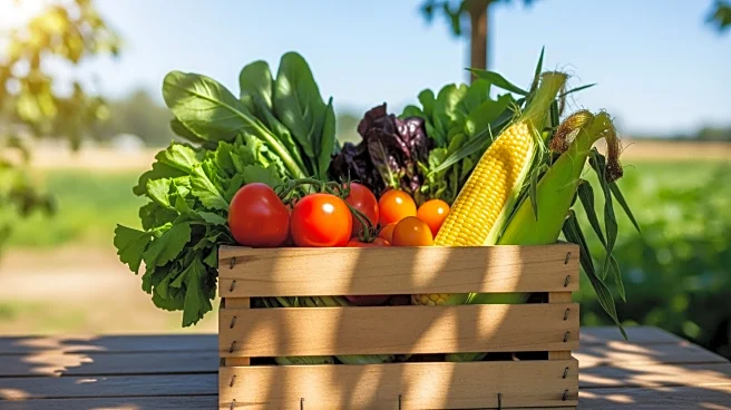 Illinois Department of Agriculture Allocates $3.6 Million to Boost Local Food Infrastructure