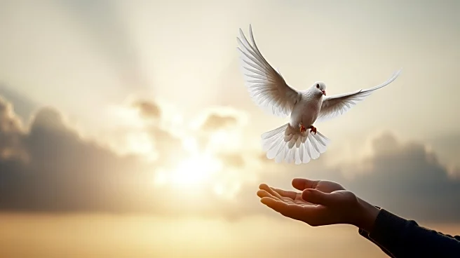 U.S. Urges Israel and Hamas to Enter Second Phase of Ceasefire in Gaza