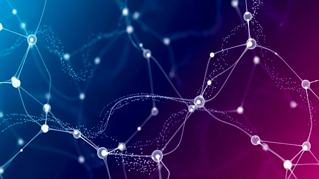 Deepmriprep Software Enhances Neuroimaging with Advanced Preprocessing Capabilities