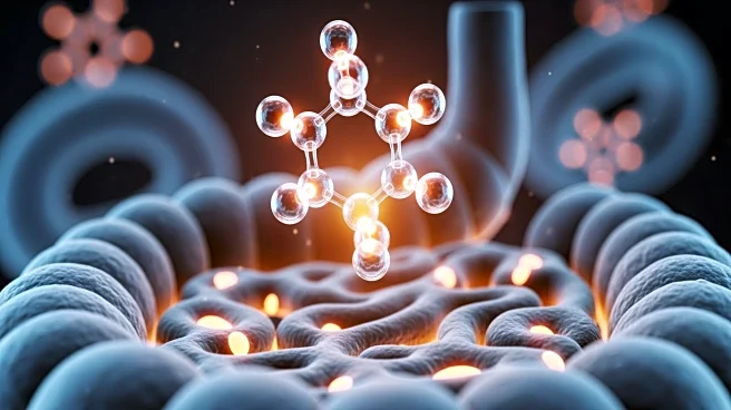 Gut Microbiome's Role in Cancer Growth and Immunity Through Asparagine Metabolism Unveiled